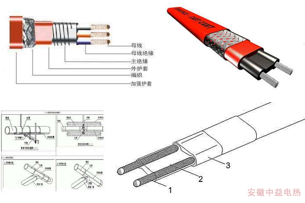 成人在线免费看片結構