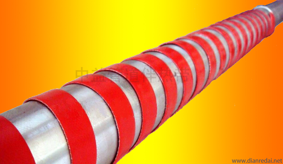 成人在线免费看片功率