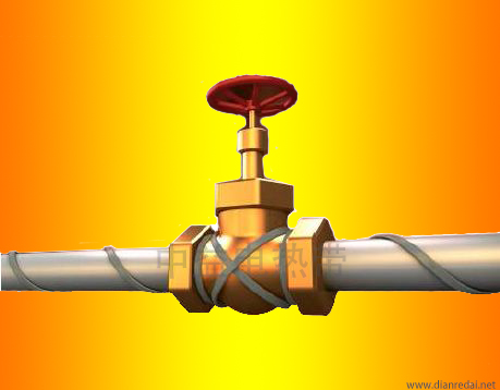 成人免费看片91