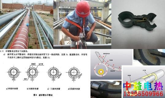 成人在线免费看片伴熱管
